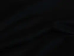 Fenix (black)