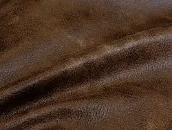 Sahara (cappuccino)